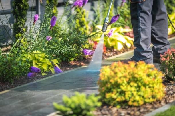 Trusted East Freehold, NJ Pressure Washing Services Experts